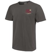 Florida State Image One Statue Stadium Nation Comfort Colors Tee